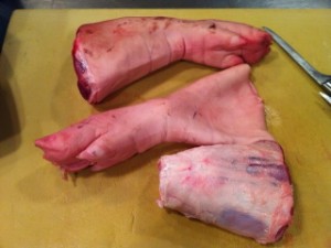 The hock removed from the foot